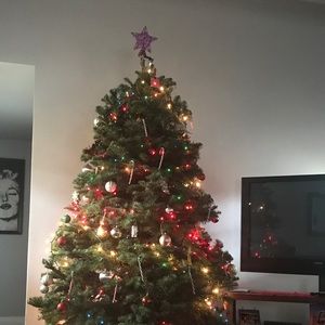 Meet your Posher, Armita